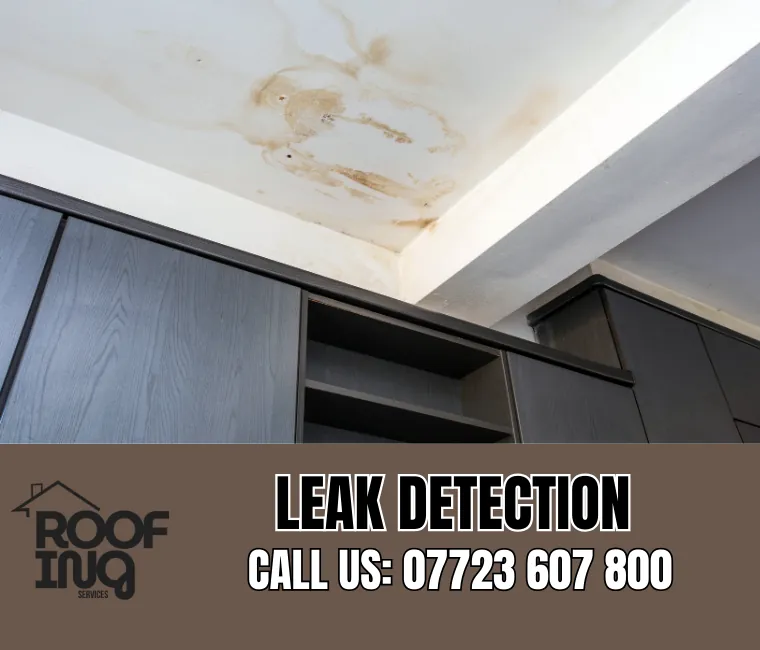 Roof leak detection and repair in South Molton