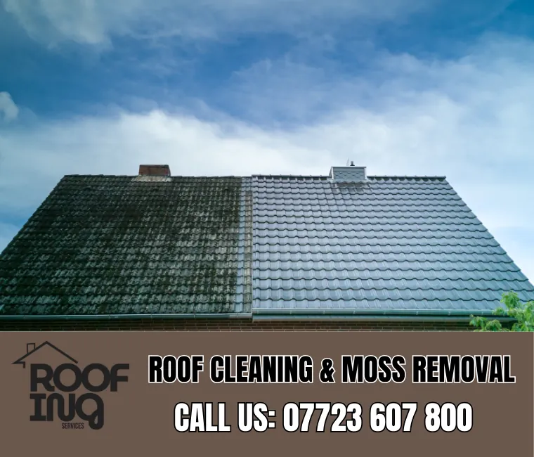 Roof cleaning and moss removal in South Molton